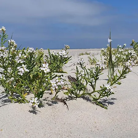 Ferienhaus Serene Retreat In Henne By-by Traum Henne Strand